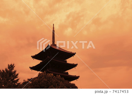 東寺 東寺 7417453