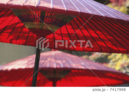 野点 野点 7417998