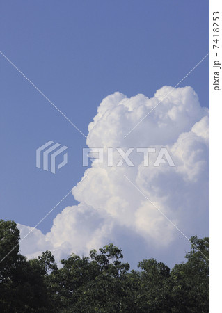 入道雲と木 入道雲と木 7418253