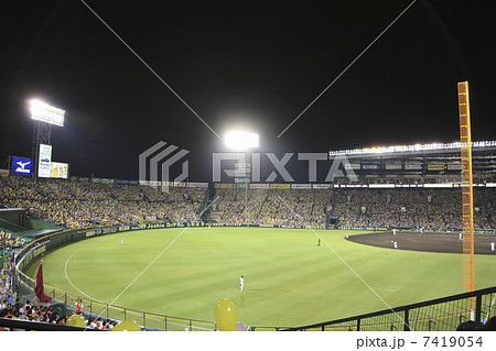 野球場 7419054