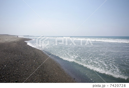 遠州灘の浜 7420728