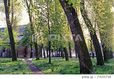 フランドルの春 7420756