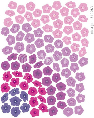 フロックス フロックス 7420831