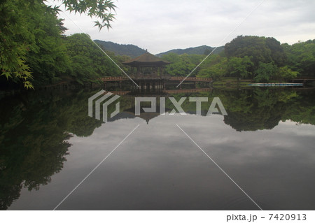 奈良・浮見堂 7420913