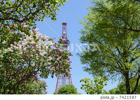 札幌大通公園 7421597