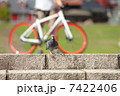 鳩と自転車とタバコ　あなたはどれが気になりますか？ 7422406