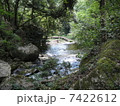 渓谷 7422612