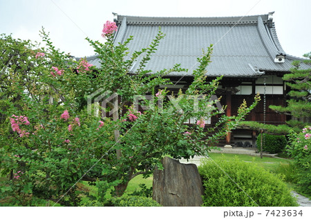 京都 夏の智恵光院 京都 夏の智恵光院 7423634