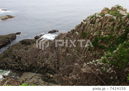 爪木崎の柱状節理 7424150