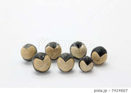 フウセンカズラの種 7424607