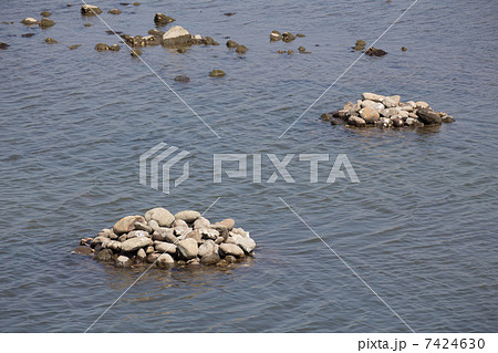 うなぎ塚（アグラ）　 7424630