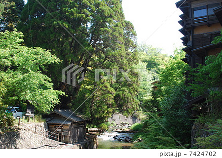 黒川温泉 7424702