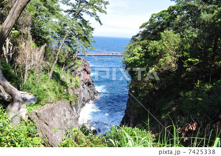 城ヶ崎海岸 7425338