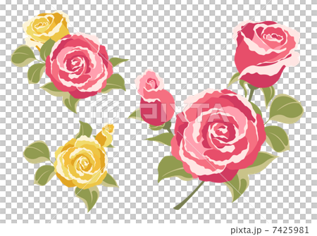 Rose illustration Rose illustration 7425981