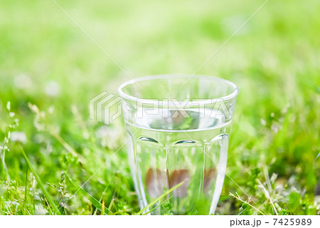 コップ一杯の水 コップ一杯の水 7425989