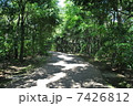 道 7426812