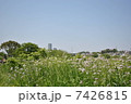 多摩川 7426815
