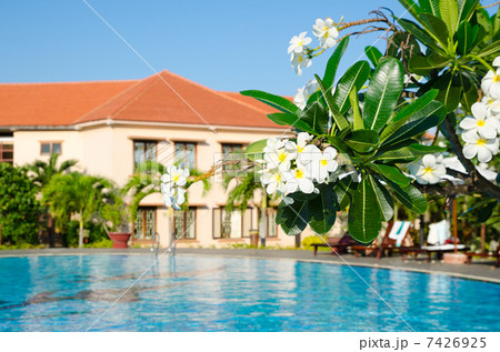 outdoor swimming pool 7426925