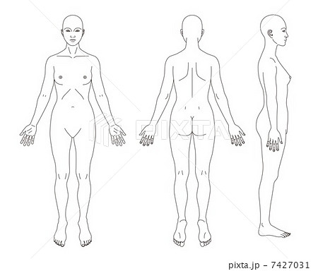 人体図女性の略図のイラスト素材