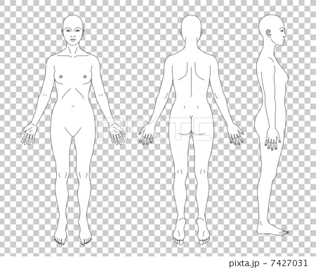 人体図女性の略図のイラスト素材 7427031 Pixta