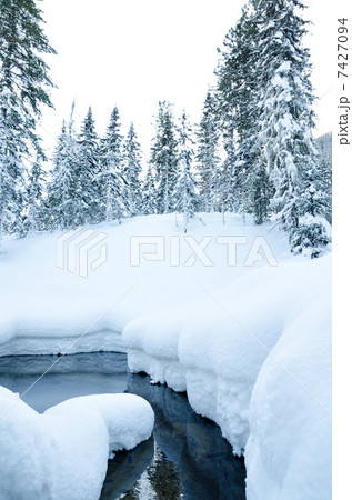 winter forest river 7427094