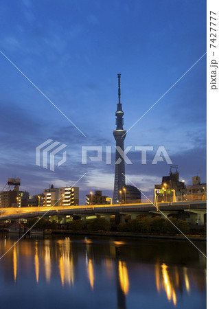 夜明けのスカイツリーと町並み 7427777
