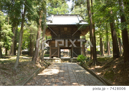町田市　大泉寺　山門　６月 7428006