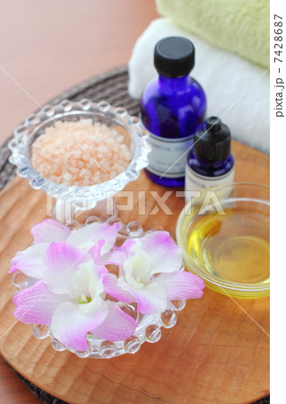 スパイメージ 7428687