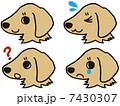 子犬の表情 7430307