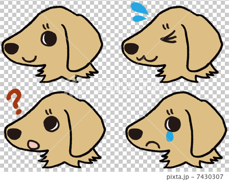 小狗的樣子 7430307