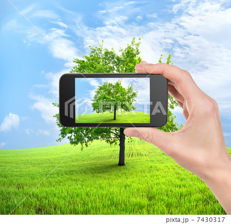 Phone and tree 7430317