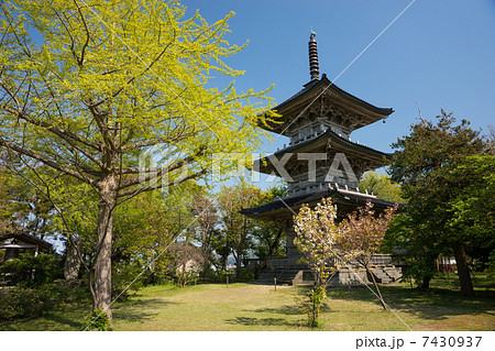 越後五智国分寺 7430937