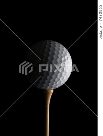 ゴルフボール ゴルフボール 7430955