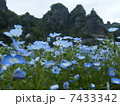 絶壁の華 7433342
