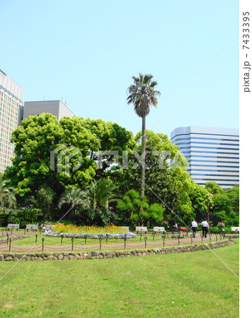 日比谷公園 7433395