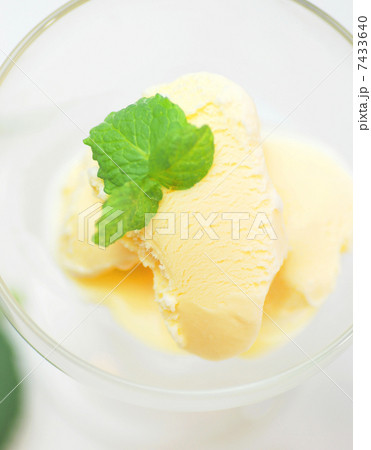 バニラアイスクリームのアップ バニラアイスクリームのアップ 7433640