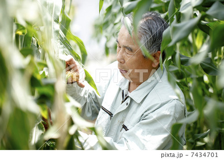 農作業 7434701