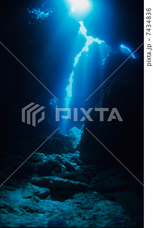 慶良間諸島ケーブダイビング 7434836