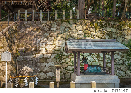 吉田神社　神鹿座像 7435147