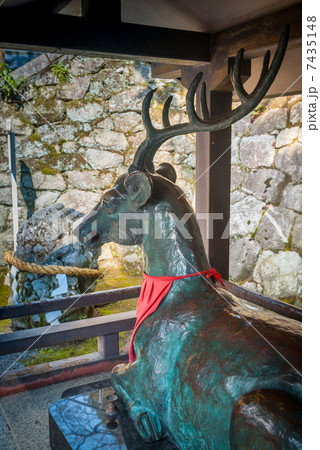吉田神社　神鹿座像 7435148