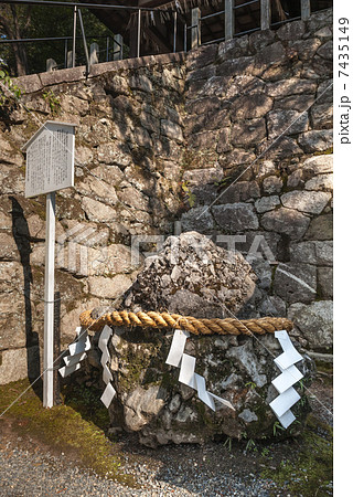 吉田神社　さざれ石 7435149