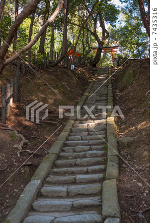 吉田神社　末社　神龍社 7435316