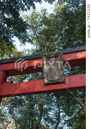 吉田神社　末社　竹中稲荷社 7435326