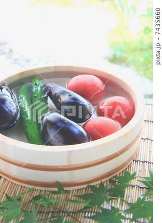 夏野菜 7435660