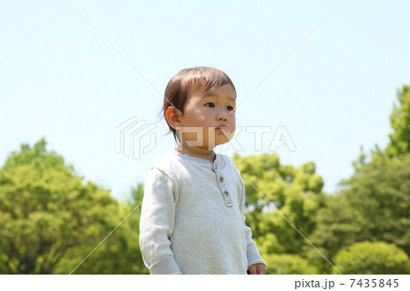 新緑のピクニック 新緑のピクニック 7435845