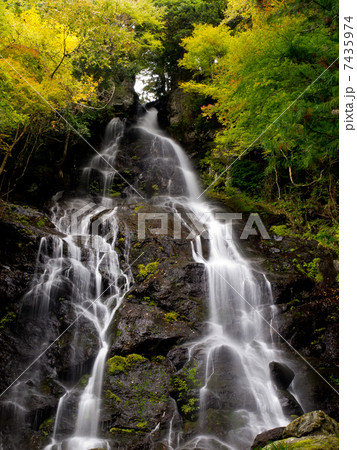 和沙羅滝 和沙羅滝 7435974