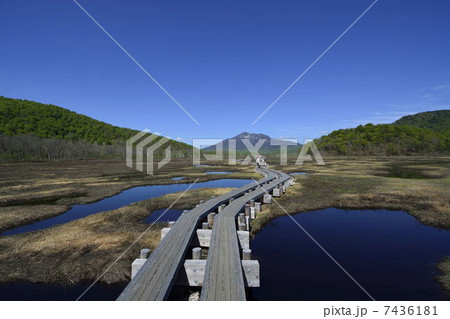 初夏の尾瀬の燧ケ岳 11 7436181