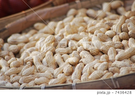 ざるにもられた落花生 7436428