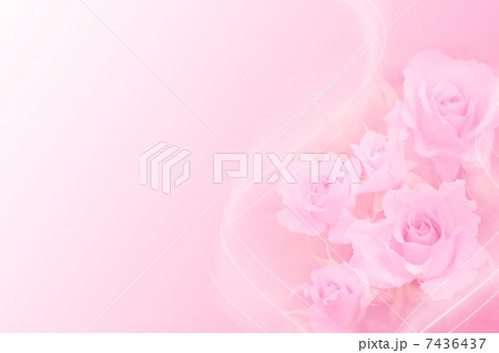 バラ バラ 7436437