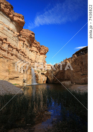 チュニジアのシェビカ チュニジアのシェビカ 7436822